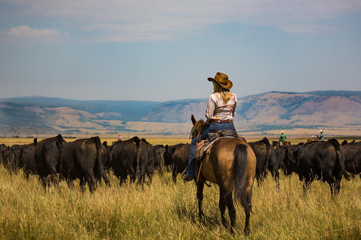 Wyoming Dude Ranch Jobs, Summer & Winter - Vee Bar Guest Ranch