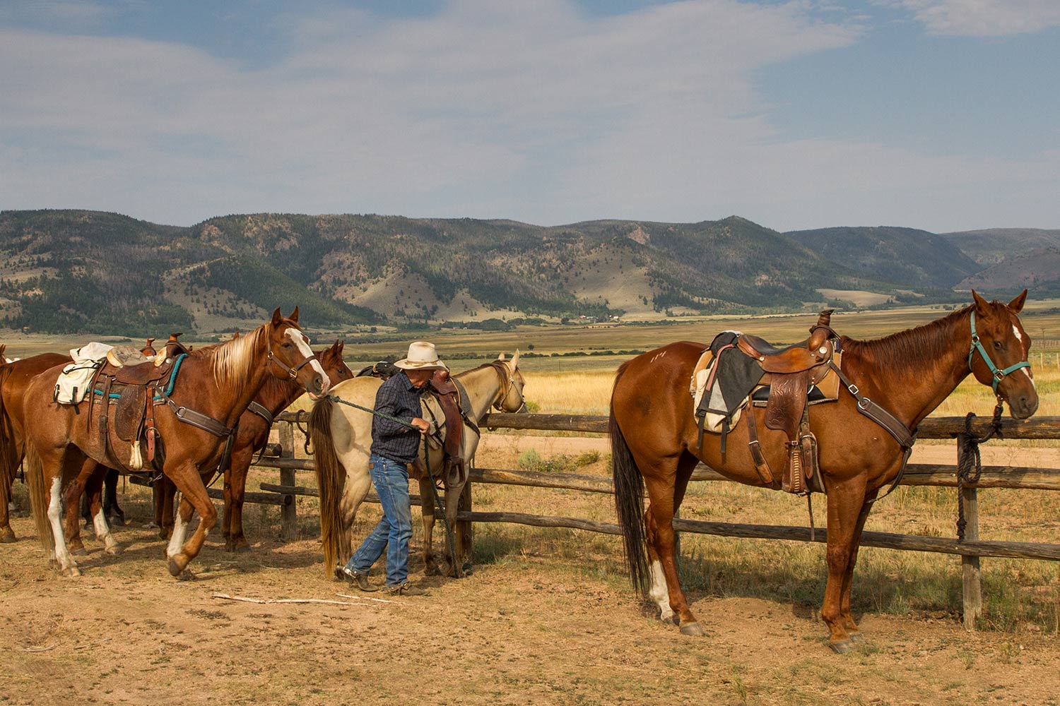 Wyoming Dude Ranch Jobs, Summer & Winter - Vee Bar Guest Ranch